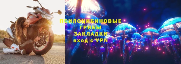 прущий лед Аркадак